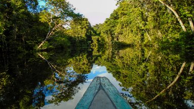 Amasoonia vihmametsast tulid välja mõistatuslikud muistsed linnad