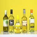 PIMETEST | Alla 6-eurone vein: reeglina halb või hoopis üllatav maitseelamus? Sommeljee teeb asja selgeks!