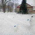 FOTO | Adavere rahvas tegi Eesti juubeli puhul 100 lumememme