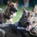 Armas algatus: varjupaigakoerad koos politseiga patrullima, et koertele uus kodu leida