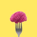 Kuidas vähema ajaga rohkem tehtud saada? Need toidud panevad aju tööle!