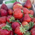 RETSEPTID: 15 ideed, mida suviselt magusate maasikatega ette võtta