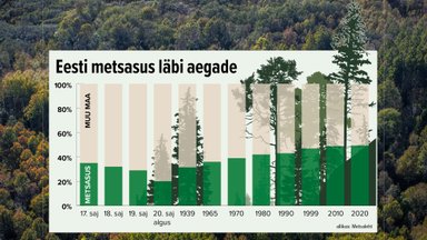 INTERAKTIIVSED GRAAFIKUD | Nii palju metsa kui praegu oli viimati enam kui kaks sajandit tagasi