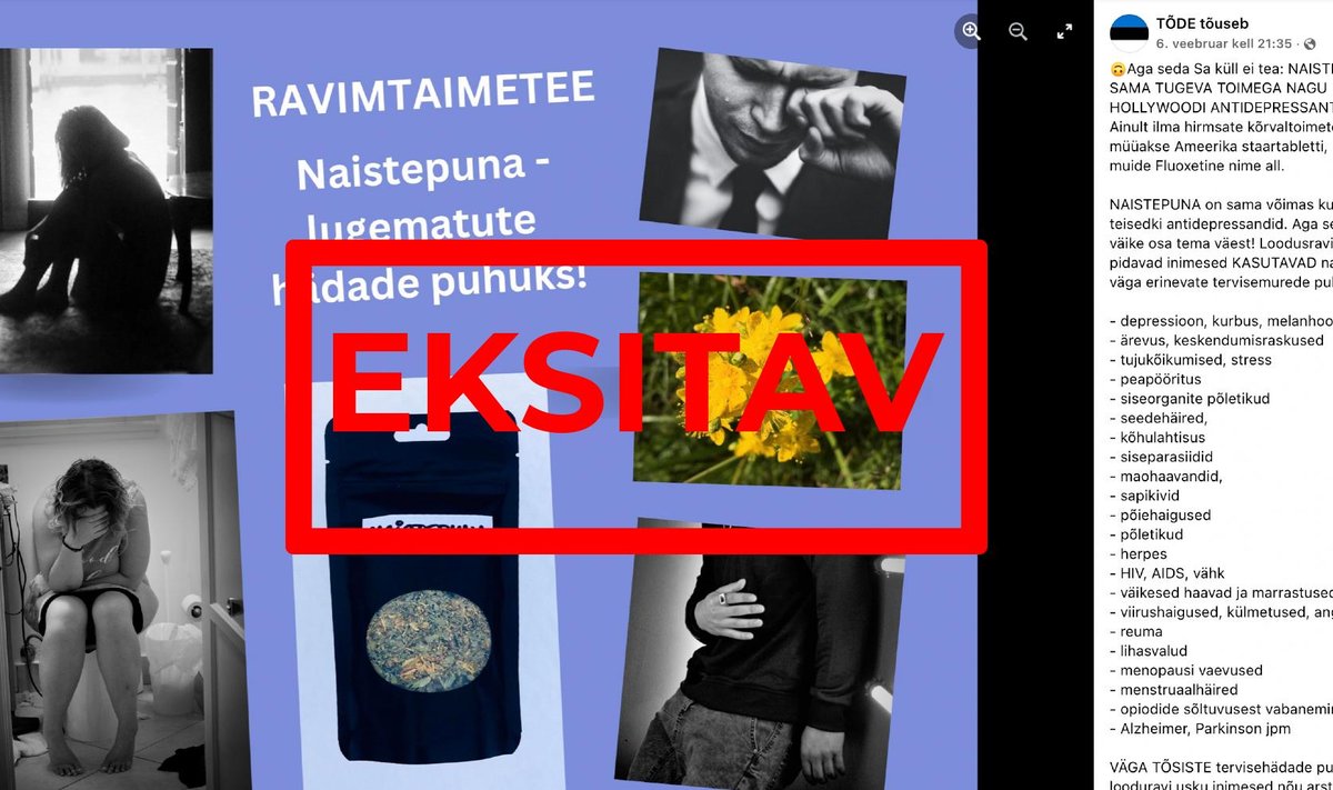 Eksitav info naistepuna taime kohta