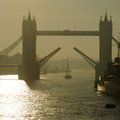 FOTO: Londonis peletatakse kodutuid oradega