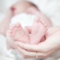 НоворОжденный или новорождЁнный: как правильно?