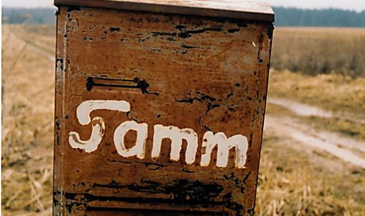 TAVALINE NIMI: See postkast kuulub ühele enam kui viiest tuhandest Eesti Tammest.