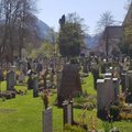 Необычная лотерея в Баварии: разыгрываются места на кладбище. На 200 мест — 280 претендентов