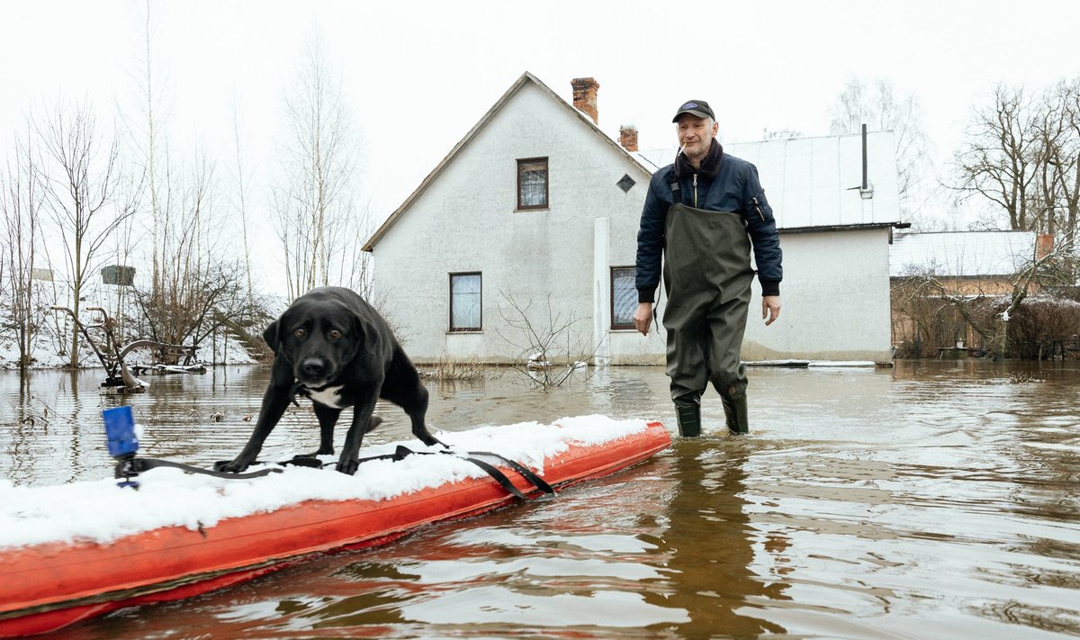 Jēkabpilsi pikaaegne elanik Sergei oma koera Kamuriga, kes hirmsat moodi vett kardab.