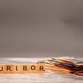 Прогноз ЦБ: как скоро Euribor достигнет пика