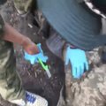 VIDEO | Internetis levib šokeeriv video, kus Rosgvardija sõdurid kastreerivad ukraina sõjavangi