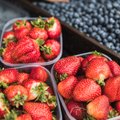 Amet kontrollib turgudel värske puu- ja köögivilja päritolu, probleeme on Poola maasikatega