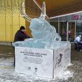 ФОТО | В Кристийне установлена ледяная скульптура металлического быка