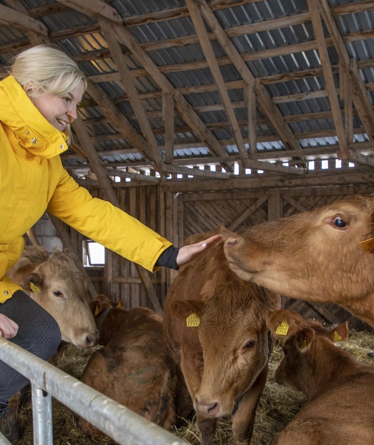 Noorperenaine Margit Lepp on õppinud lehmi lüpsma ja maakarja tundma ning selle põlistõuga heaks sõbraks saanud.