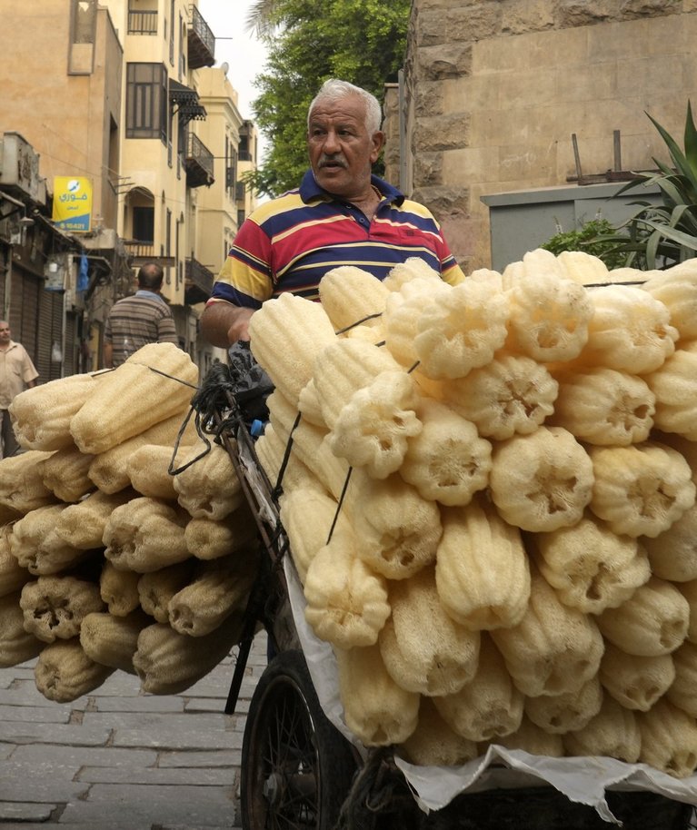 Egiptus on üks riike, kes läheb rahvaarvult peagi Venemaalt mööda. Seejuures on Egiptuse näol juba nüüd tegemist maailma suurima nisu sisse vedava riigiga. Fotol näeb käsnkõrvitsamüüjat pealinnas Kairos.
