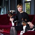 KÄPAD TÖÖL | Emerante mööblisalongis aitavad diivanit valida hoopis neljakäpalised müügikonsultandid