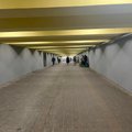 ФОТО | В ласнамяэском тоннеле Мустакиви приняли меры для борьбы с птицами