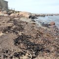 Vormsi ja Hiiumaa rannikul avastati ulatuslik reostus