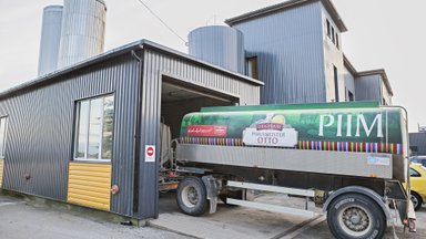 Saaremaa piimatööstuse Estoverile müümine on takerdunud: firma teatas ostust loobumisest, kuid haub teisi plaane