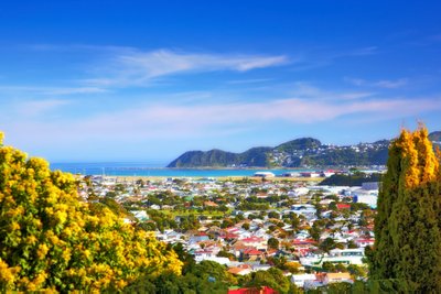 Wellington