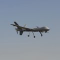 Коалиция США сбила над Сирией боевой дрон иранского производства