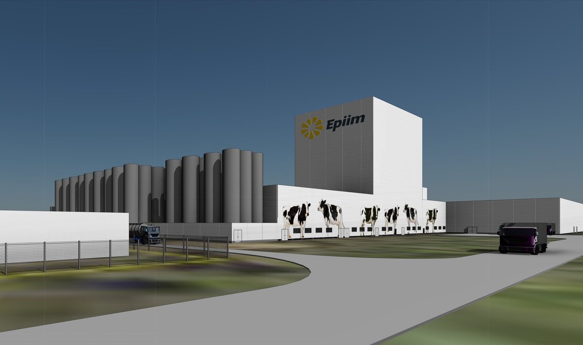 3D VAADE MÜNDI TÄNAVALT